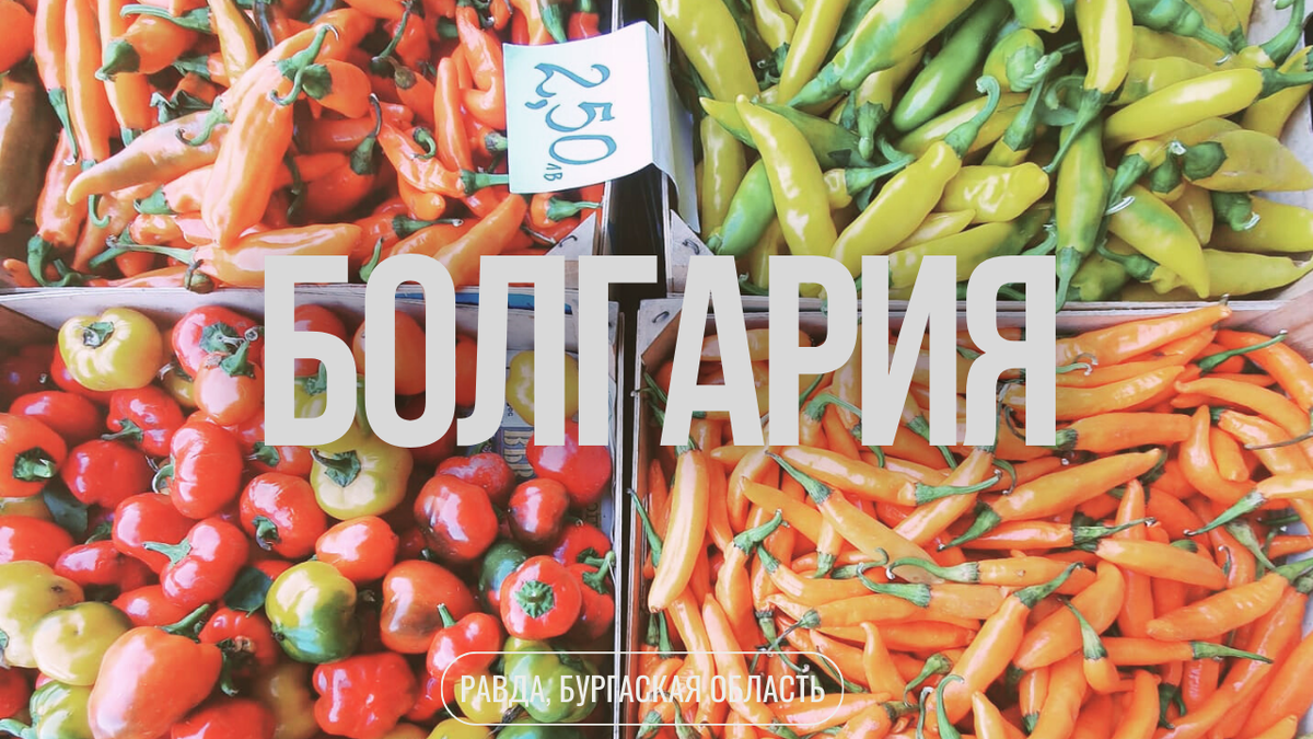 Чушки или болгарские перцы во всей своей красе.