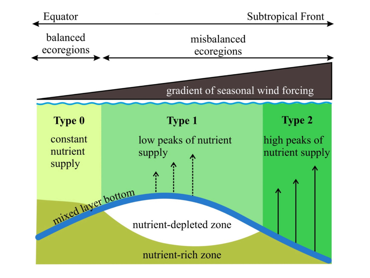 Графическое резюме исследования. Источник: A.L. Vereshchaka, A.V. Shatravin / Science of The Total Environment, 2025