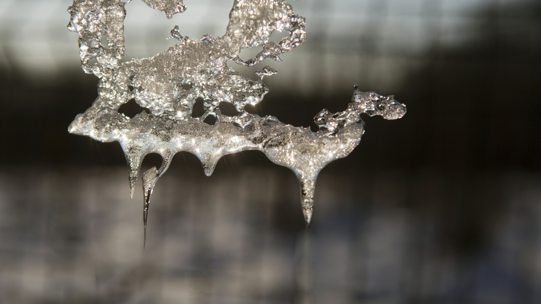    Nikolay Gyngazov/Globallookpress