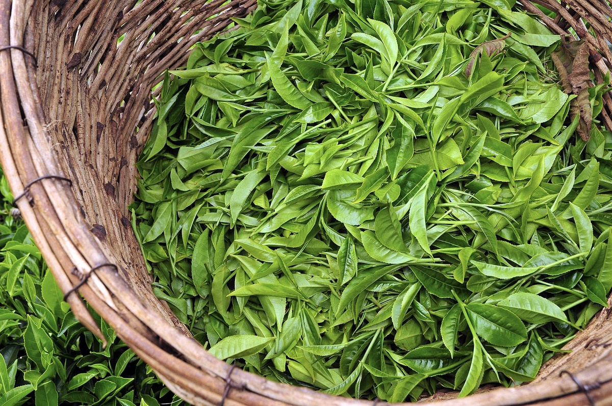 Источник фото: Яндекс.картинки