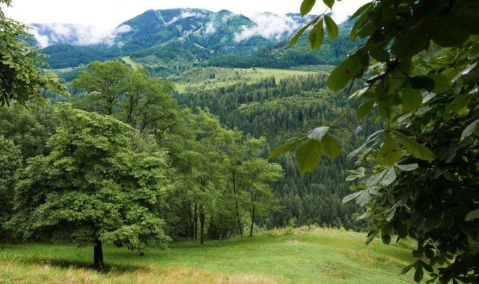    администрация Краснодарского края