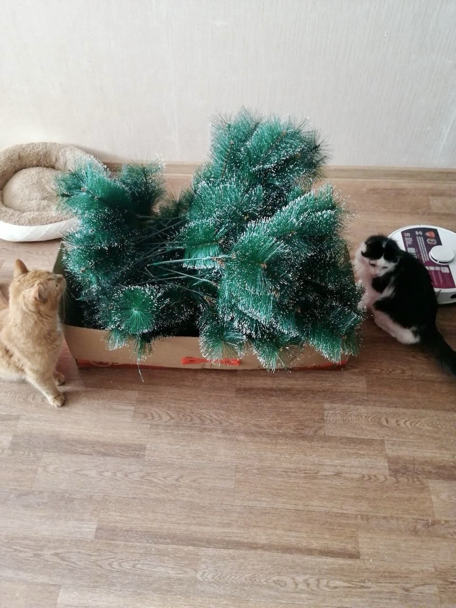 Наконец-то разобрала в выходные ёлку. Как мама сказала - рано, весна еще не наступила 😂