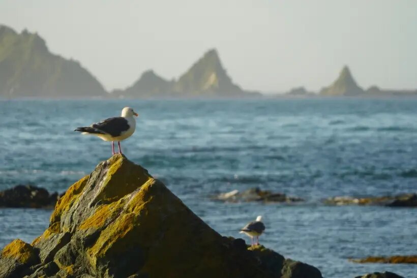     © РИА Новости. Данил Годлевский