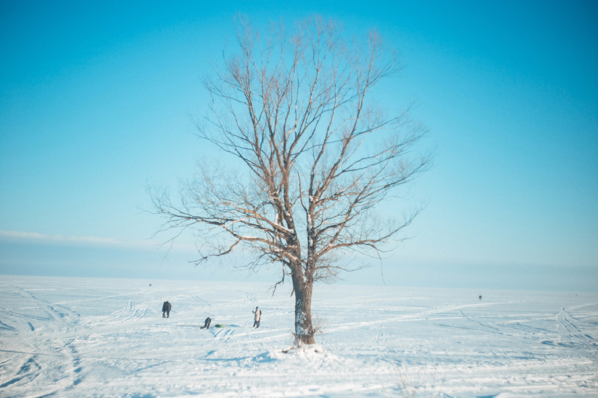 Фото: Marisha Elona