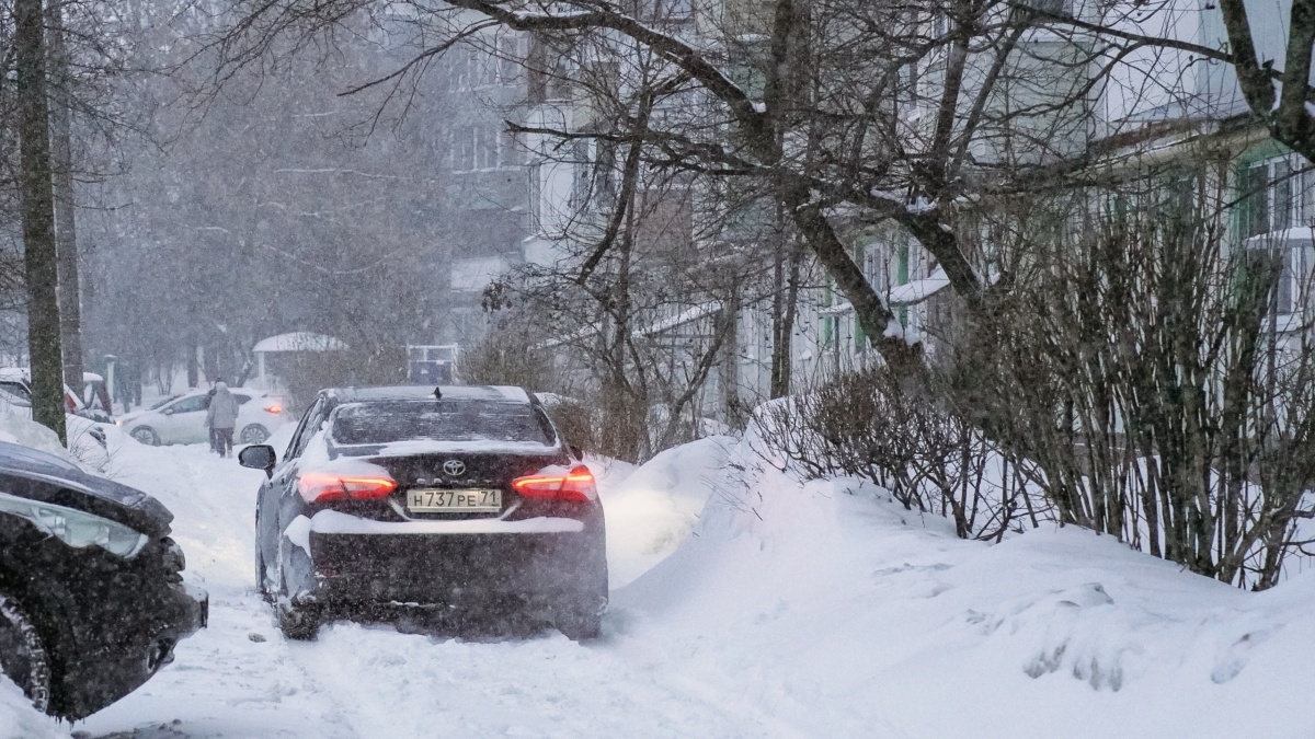 Светлана Мулыкина📷
