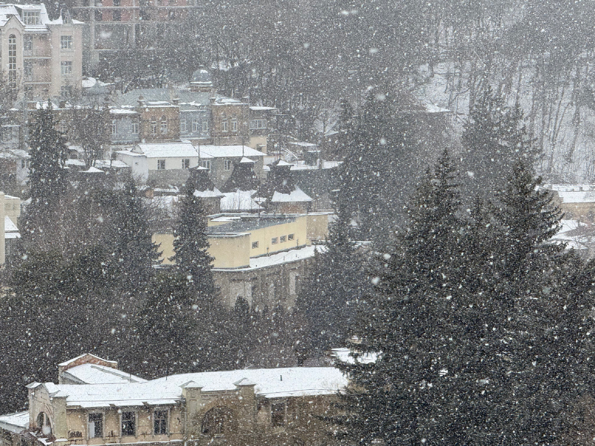 Последняя неделя февраля, фото Сад в стиле Paradise ®