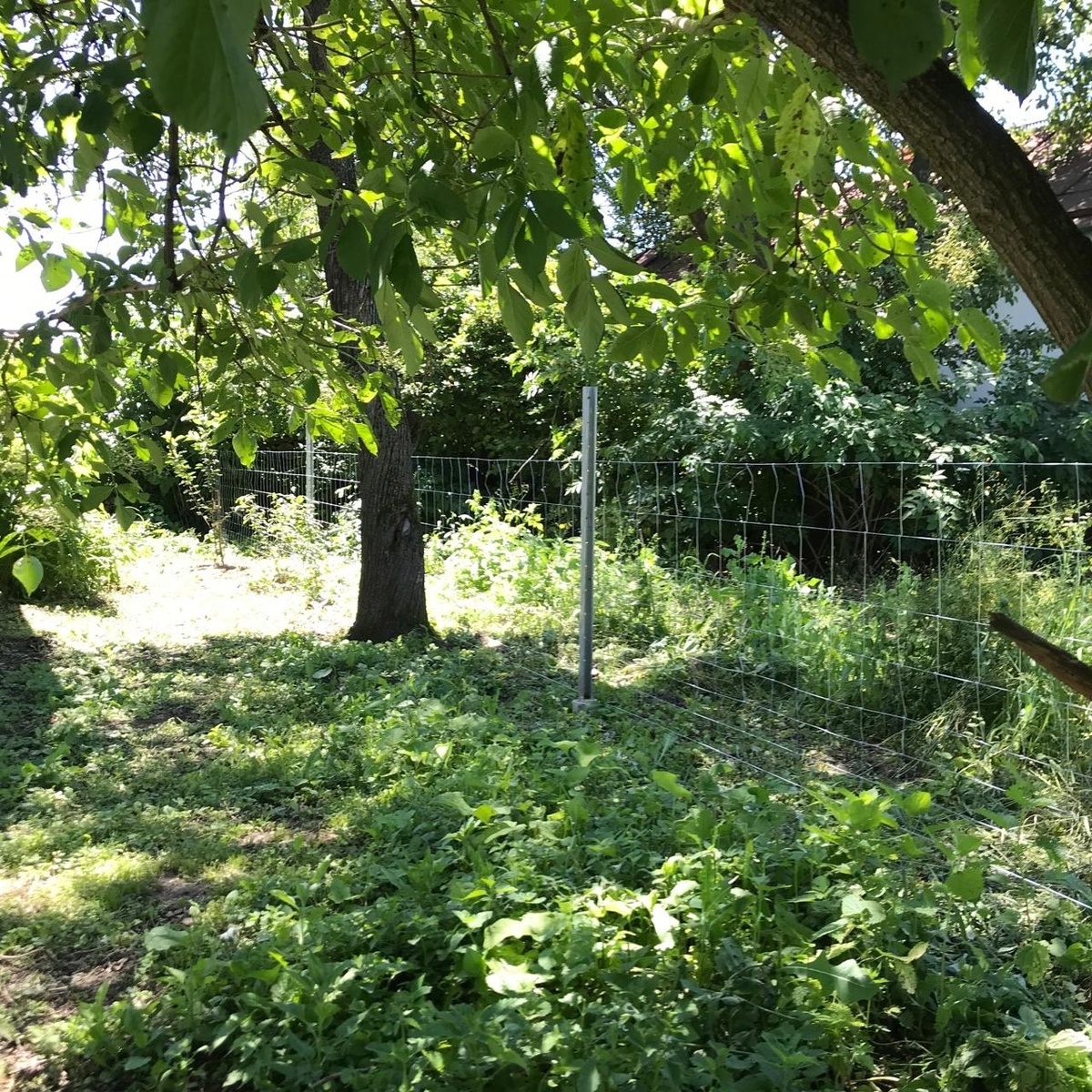 Автор фото Елена Якимова / Greenfingers