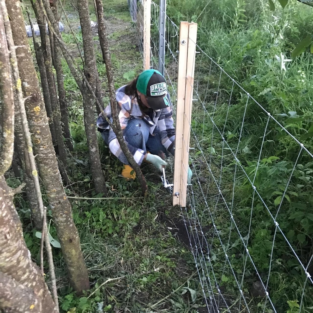 Автор фото Елена Якимова / Greenfingers