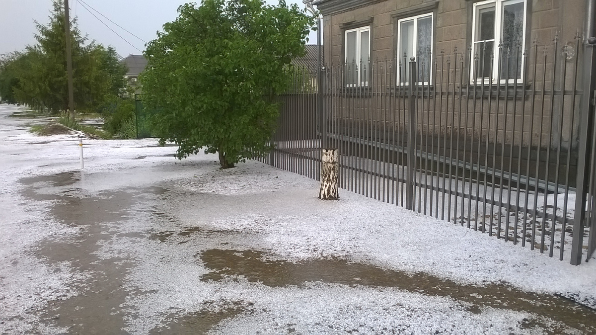 Дом, любимый дом..