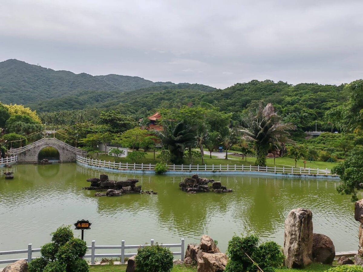 Фото: Светлана Сопроненко