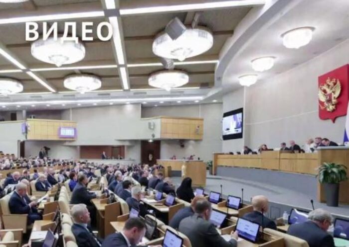 Источник фото: ГД РФ/скриншот с видео