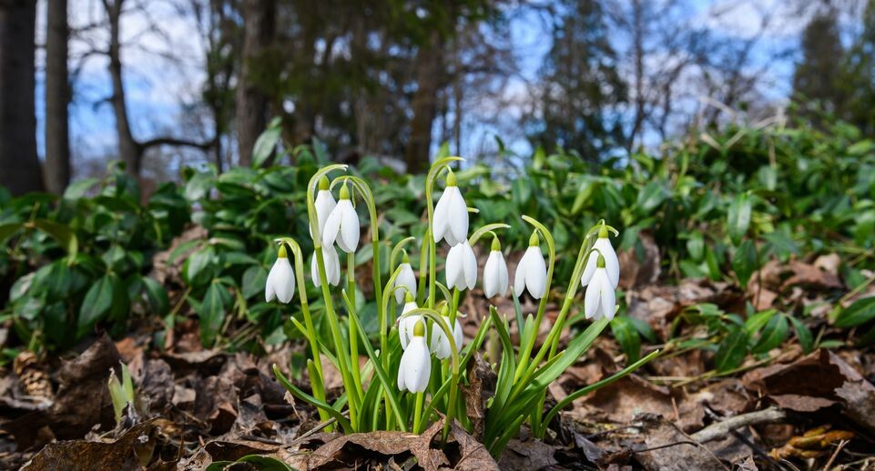    Медиасток.рф