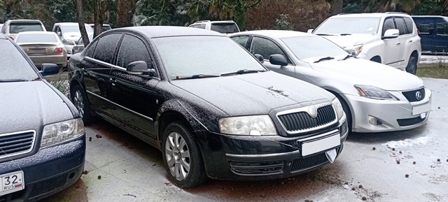 Фото: пресс-служба по г. Сочи Краснодарской таможни.  📷
