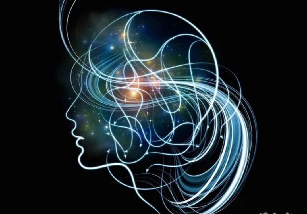 Картинка взята из сети Интернет 