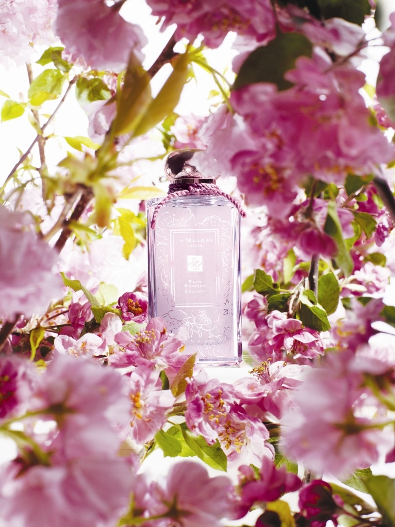 «Plum Blossom» Jo Malone London. 