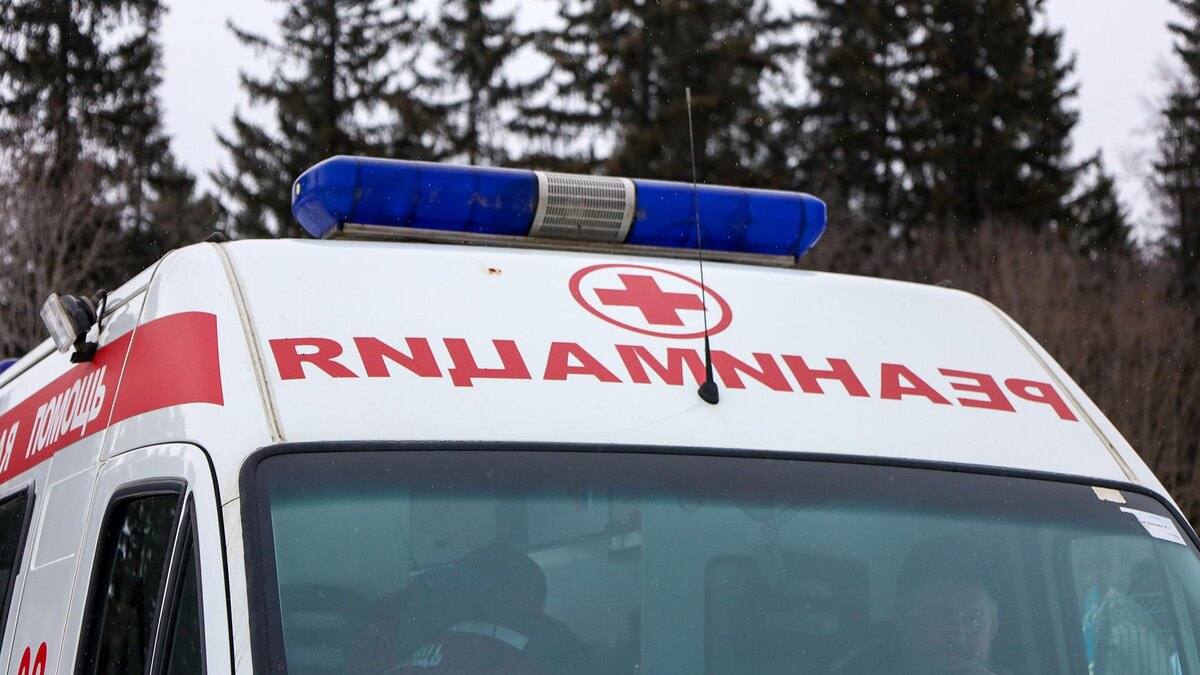    Фото: Elena Mayorova/globallookpress.com