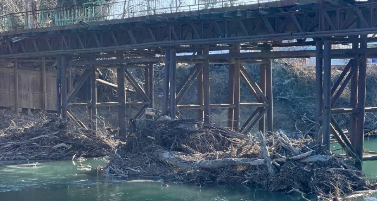 Фото: Утренний Юг