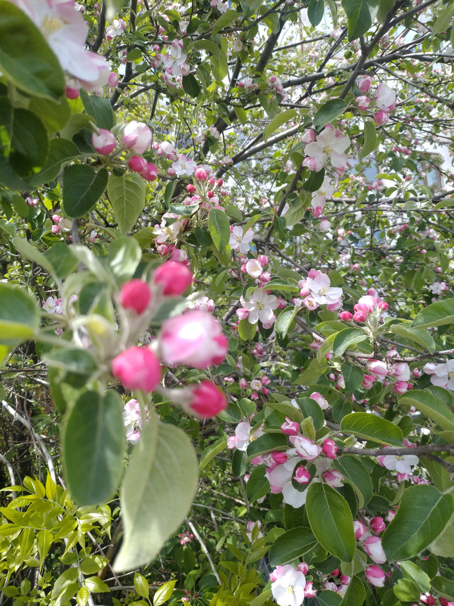 Держу свои обещания. Не унижаю того, чем дорожу. Прощаюсь. Сказать больше нечего. Антуан. Антуан де Сент-Экзюпери

