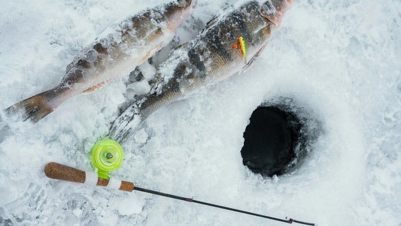 Источник: Freepik