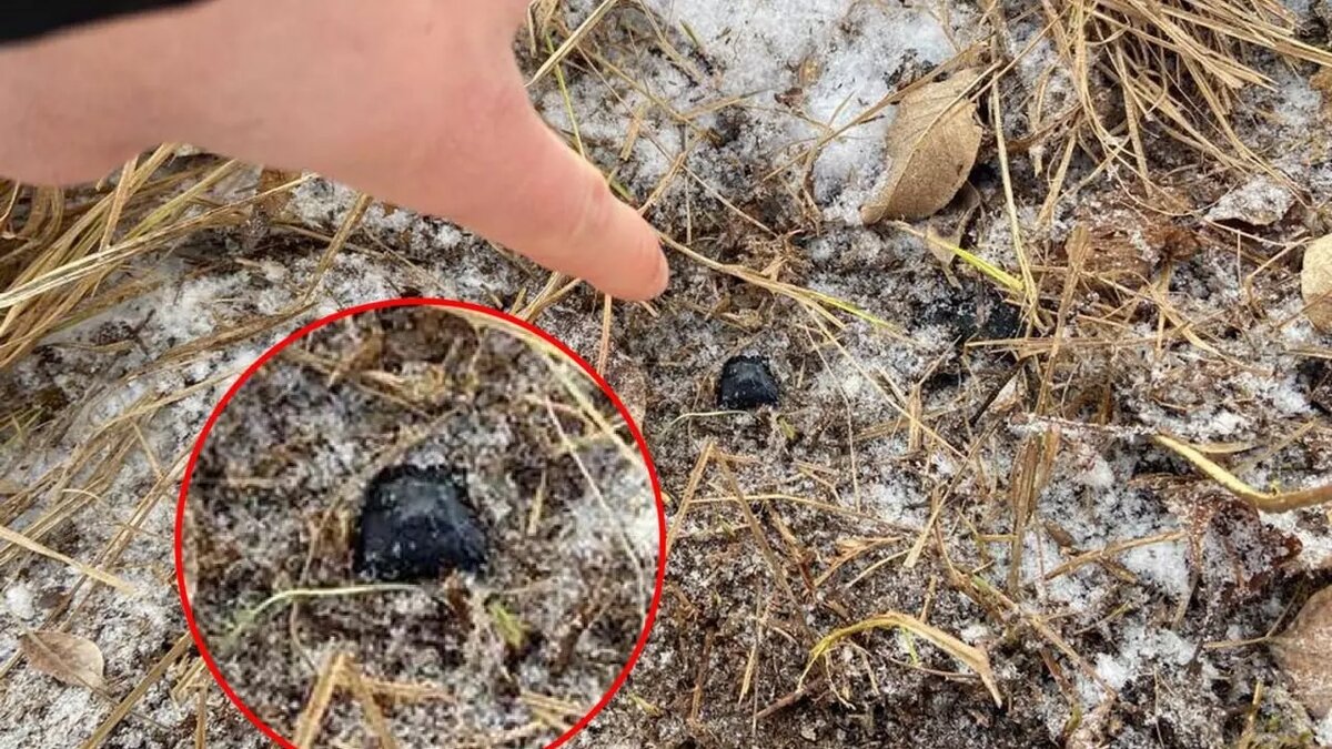     Источник: ГУ МВД по Волгоградской области