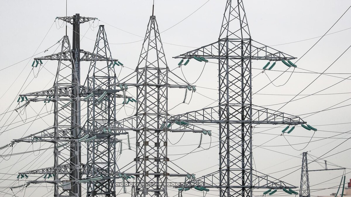 Фото: Bulkin Sergey/globallookpress.com