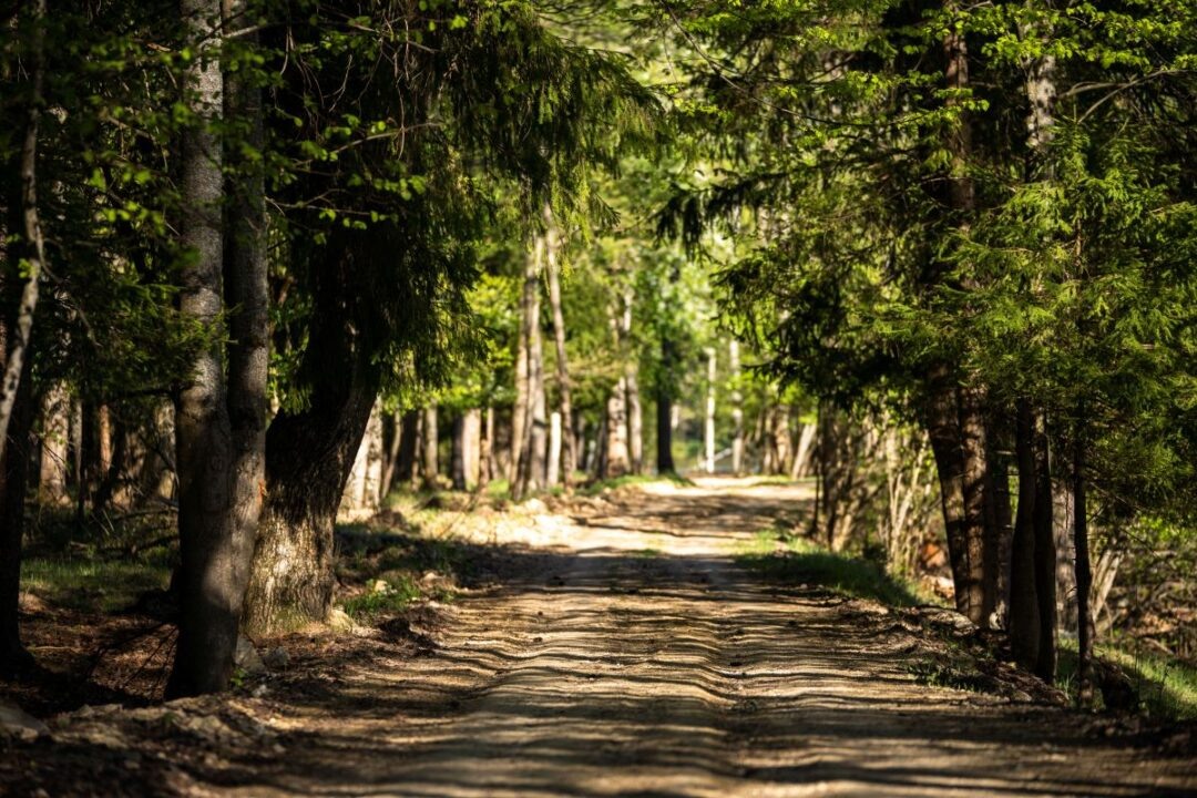Фото: Александр Плонский / «Агроэксперт»