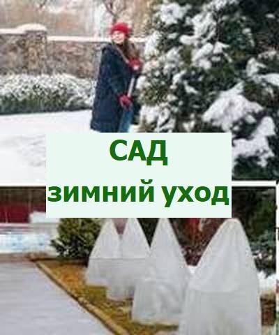 уход за садом зимой
