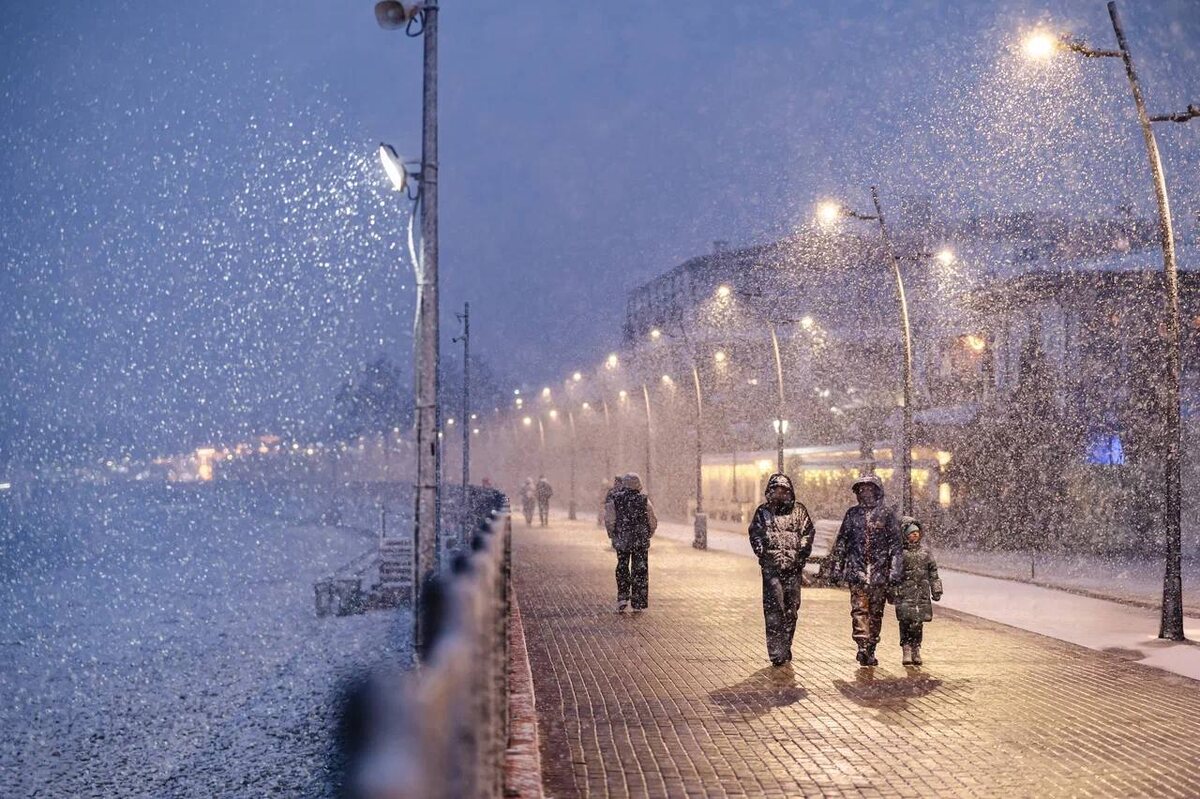 Фото: Telegram/Сириус Сегодня  📷
