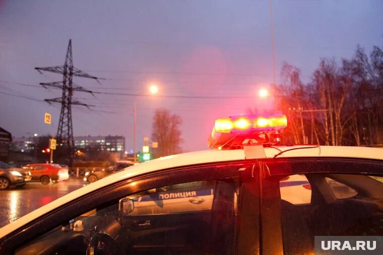 Ребенок потерялся в Тюмени 24 февраля. Фото: Анастасия Богданова © URA.RU