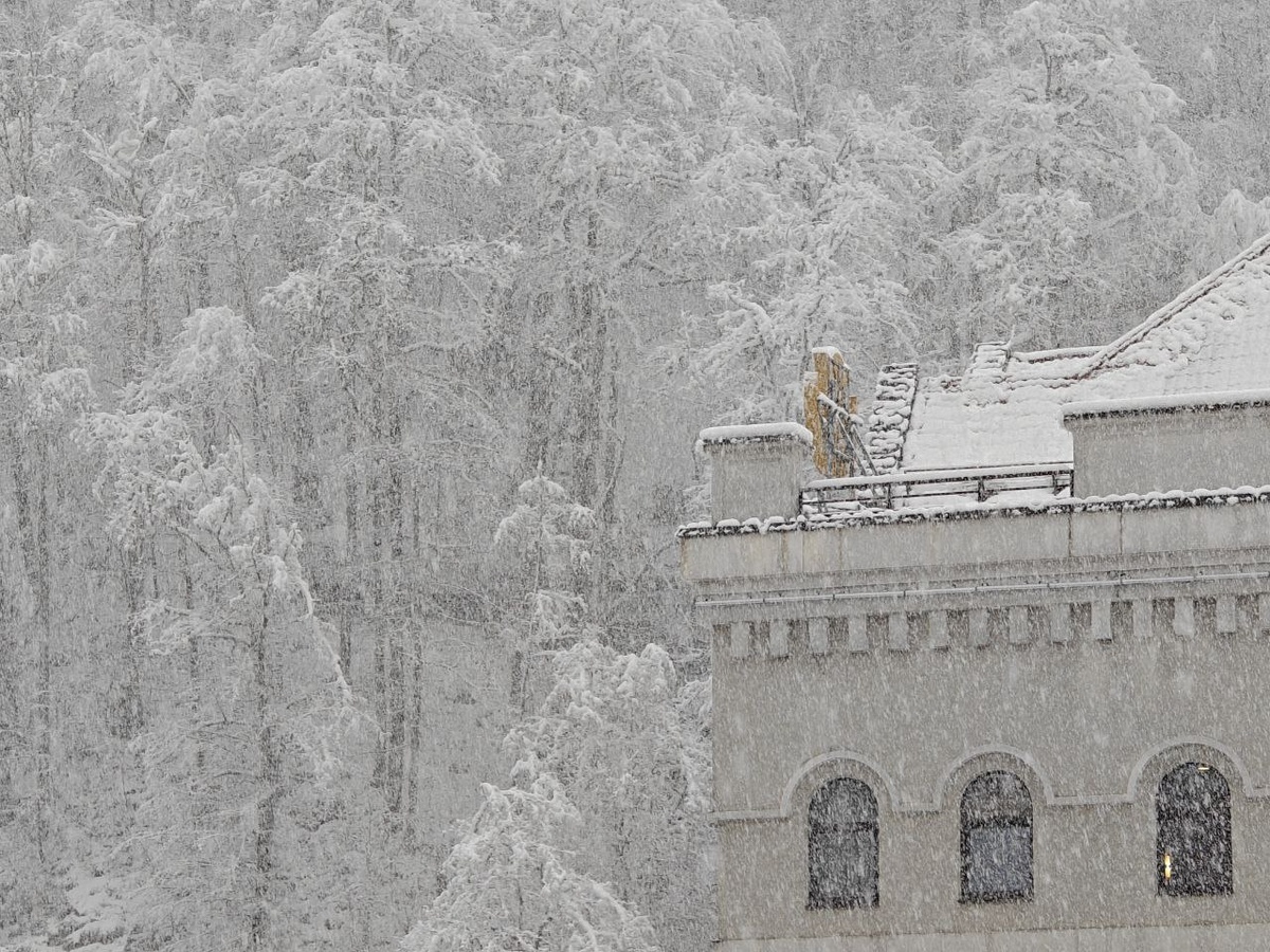    Фото: Юрий Серебренников/BFM Кубань