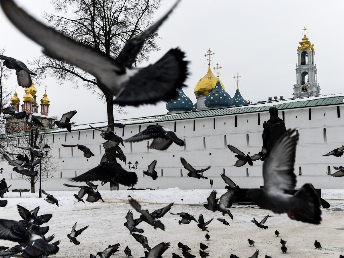     Фото: медиасток.рф