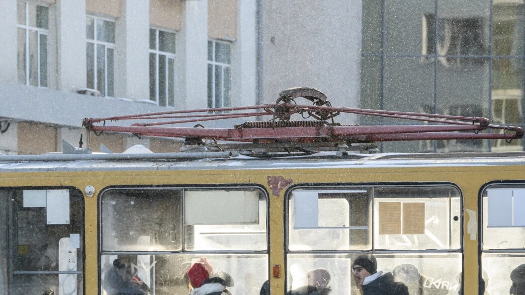    © Ilya Moskovets/Globallookpress