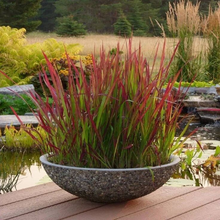 Выбирайте местные материалы и растения: