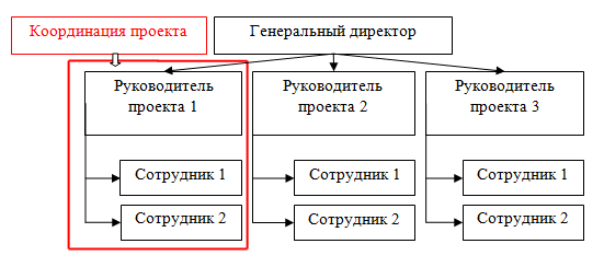 Рис. 1. Проектная структура управления