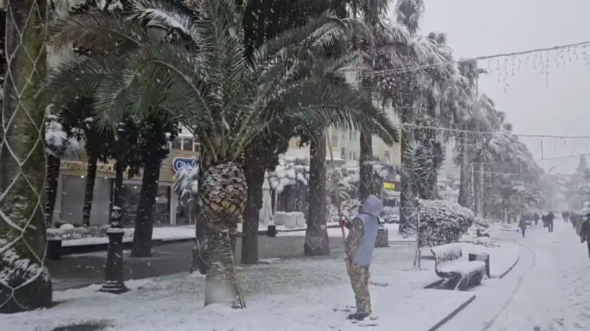    Фото: стоп-кадр видео пресс-службы мэрии Сочи