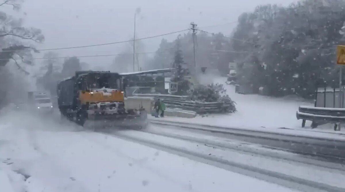    Фото: стоп-кадр видео пресс-службы мэрии Сочи
