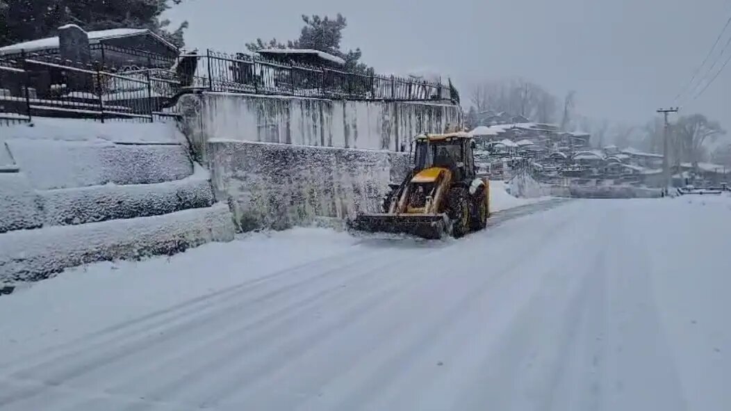   Фото: стоп-кадр видео пресс-службы мэрии Сочи