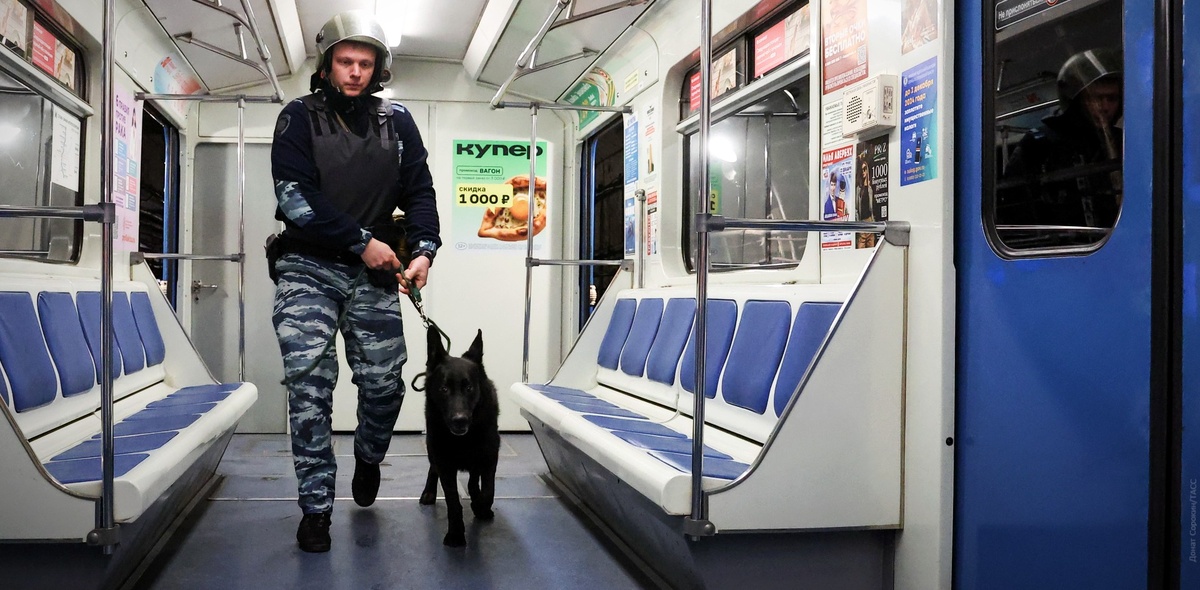 Фото: Донат Сорокин/ТАСС