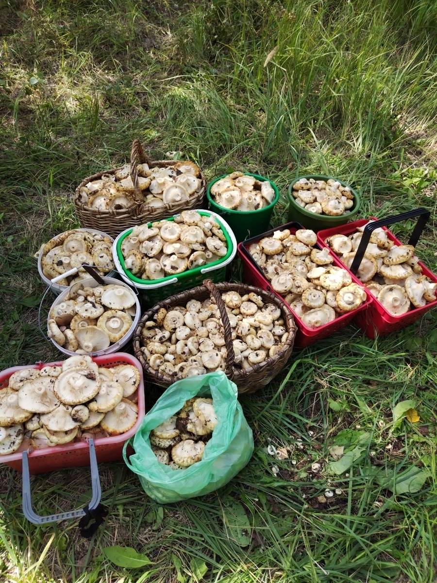 Автор фото Татьяна Т.