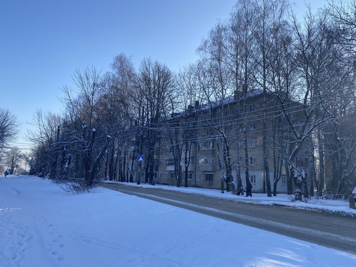 Фото: Тульская служба новостей