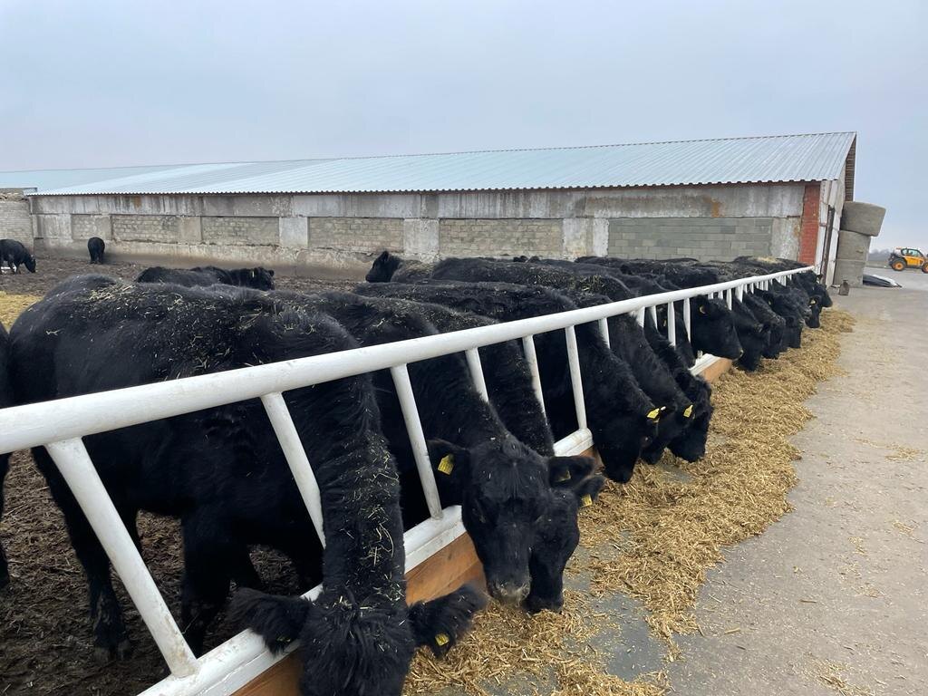 Фото Владимира Проказникова