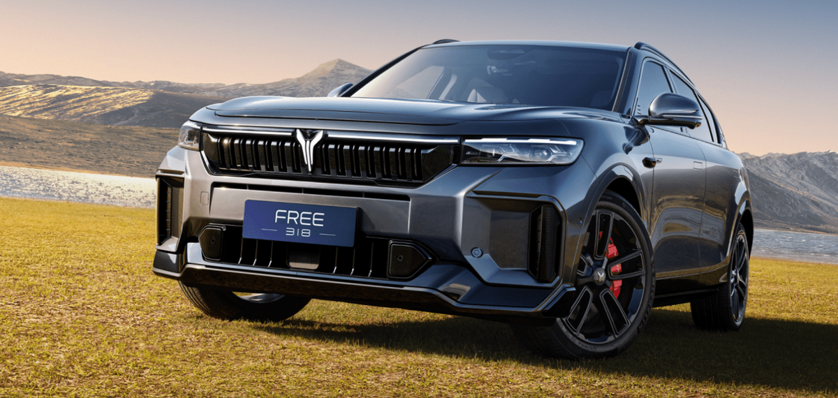 Фото Voyah  📷
