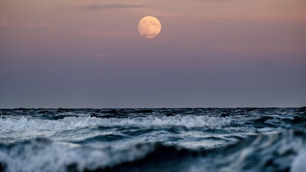    © AP / Michael Probst