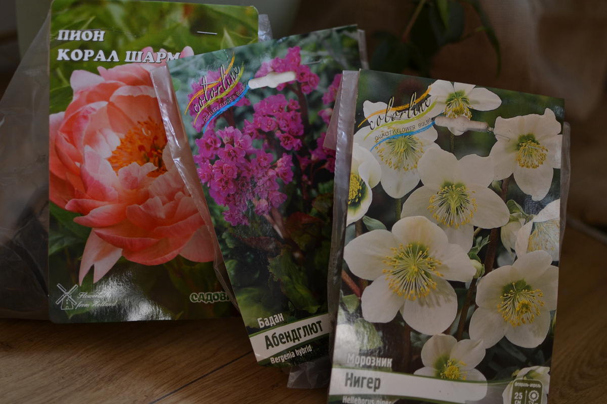 Три цветных пакетика с радостью