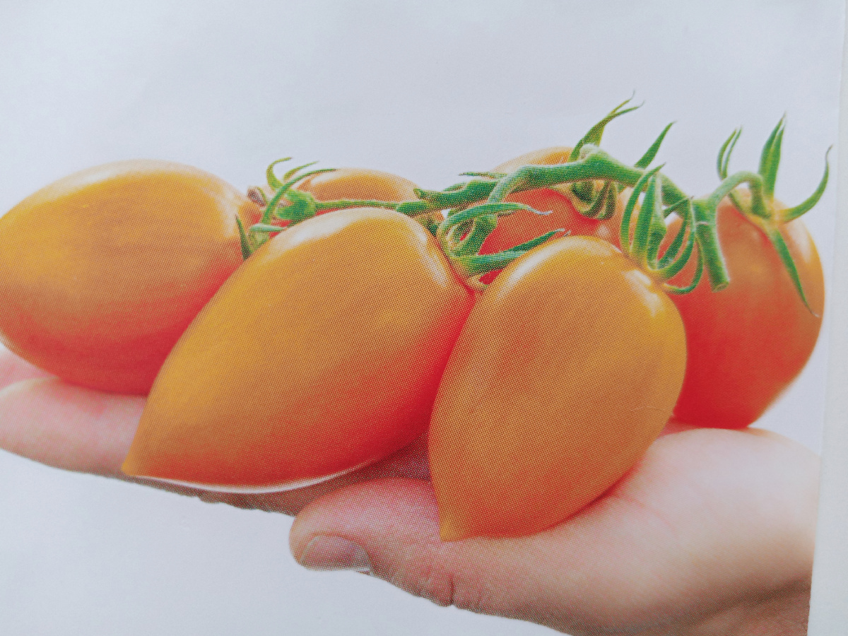 Черри оранжевого цвета