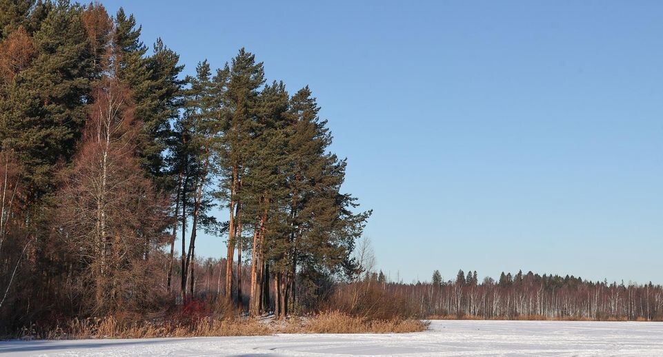    Екатерина Агеева