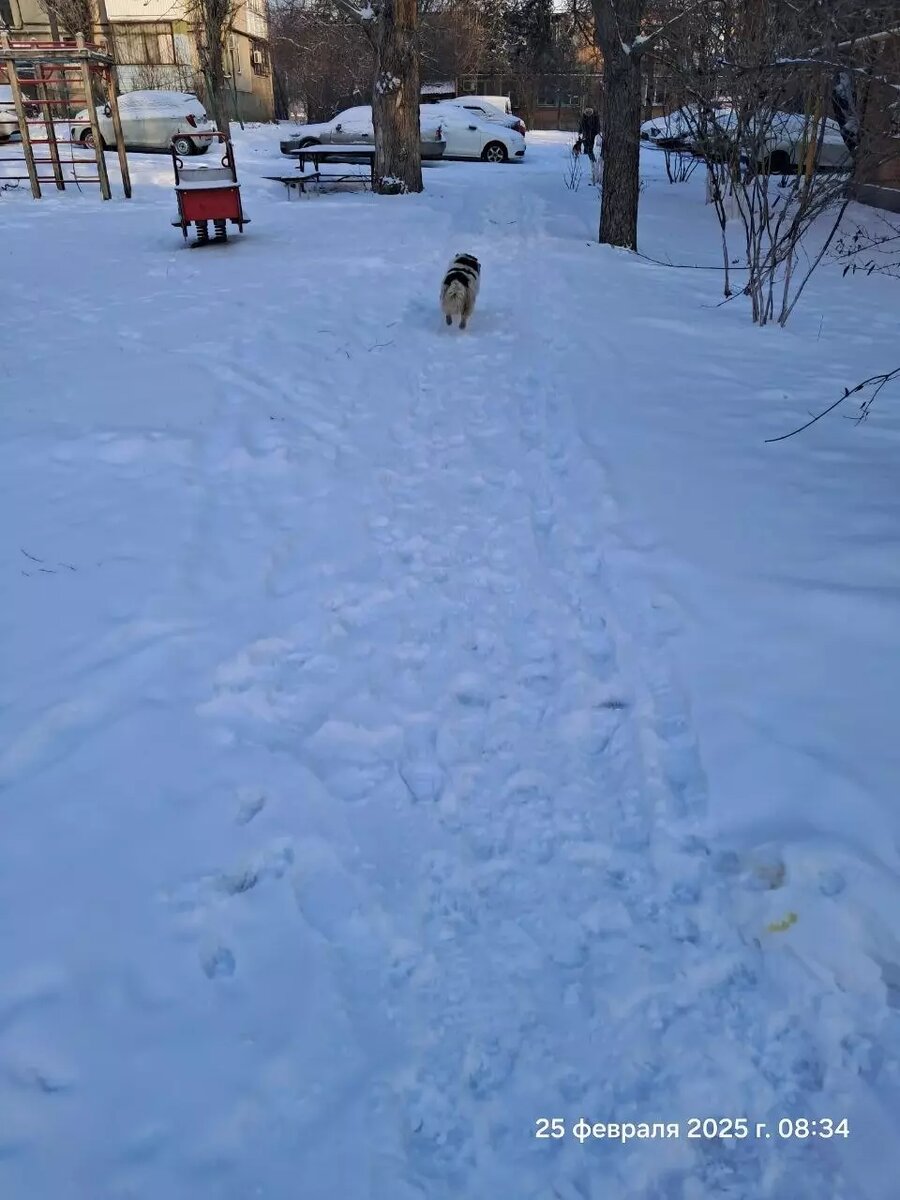     Автор: Жалобы из тг SkryabinAlexander