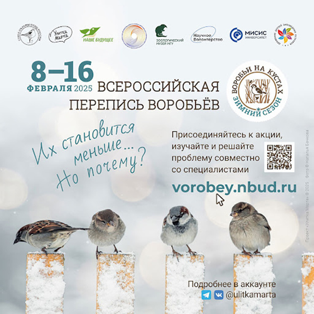 Воробьев считаешь? В 2,5 раза увеличилось число тверских наблюдателей за пернатыми