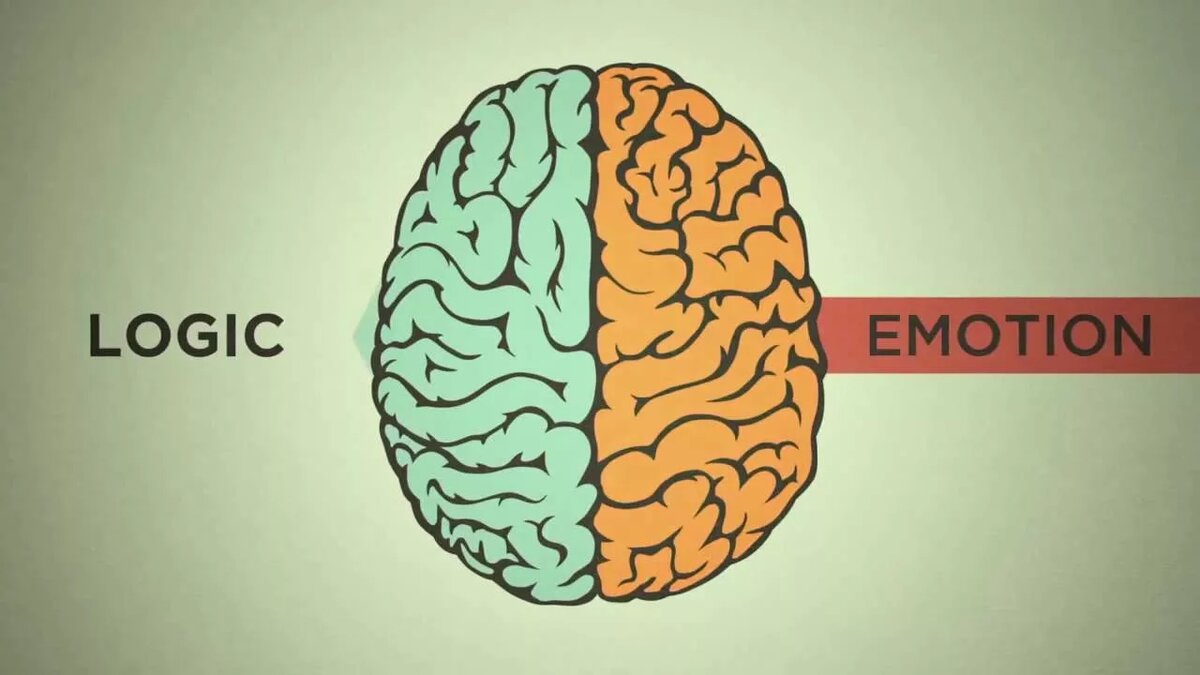 Кто умеет контролировать эмоции, тот управляет своей судьбой. /Наполеон Хилл/