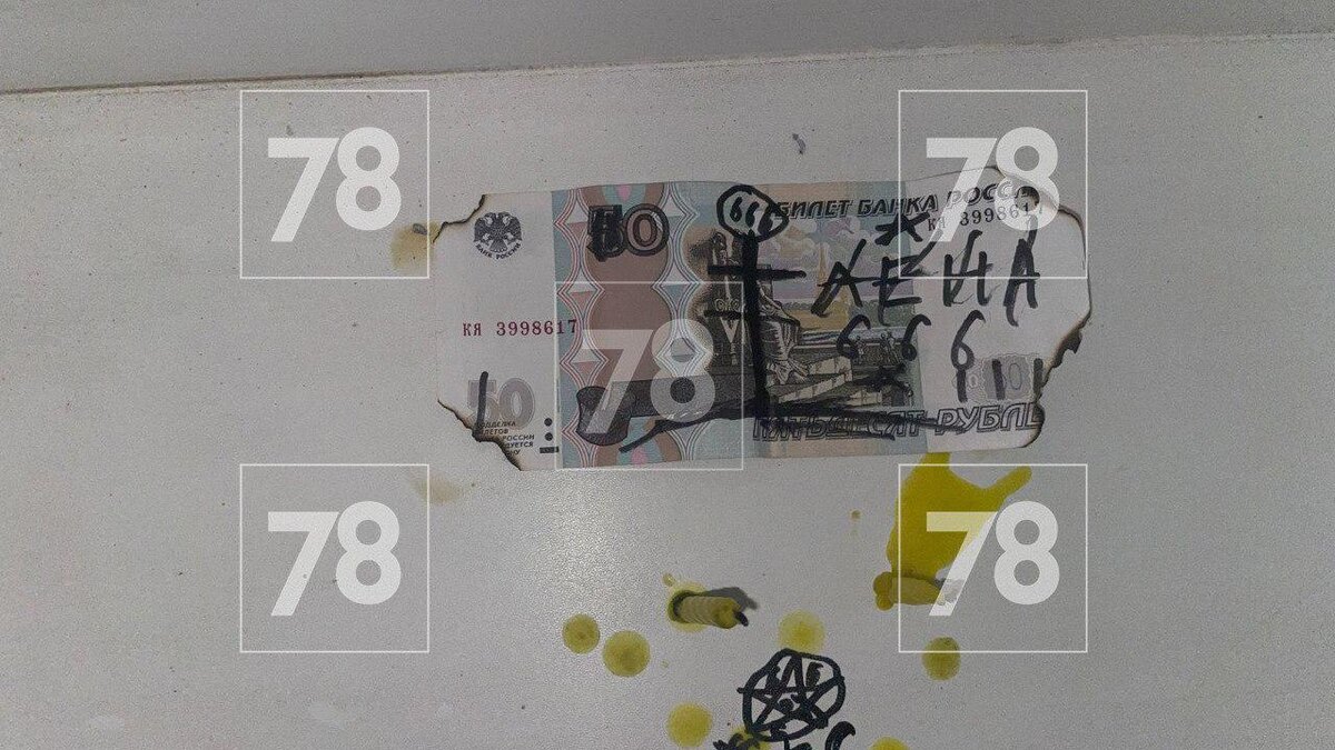 Фото: 78.ru